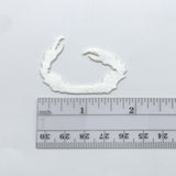 Cohen's Crab Claws - Large