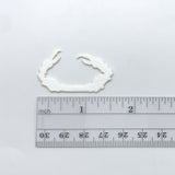 Cohen's Crab Claws - Medium