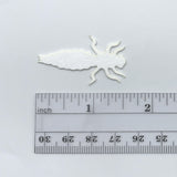 Cohen's Dragon Fly Nymph Body - Dimensions