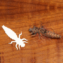 Cohen's Dragon Fly Nymph Body