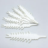 Cohen's Hellgrammite Tails