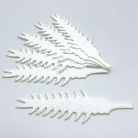 Cohen's Hellgrammite Tails