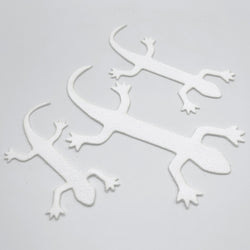 Cohen's Lizzard Tail