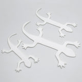 Cohen's Lizzard Tail