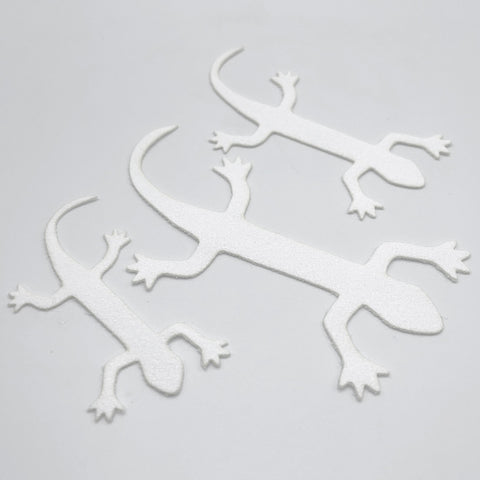 Cohen's Lizzard Tail