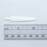 Cohen's Wiggle Tails - Medium