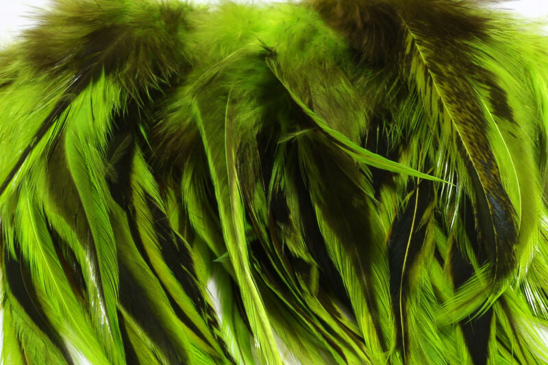578477_5 578477_5