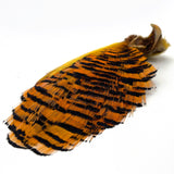 Hareline Golden Pheasant Complete Head