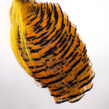 Hareline Golden Pheasant Complete Head