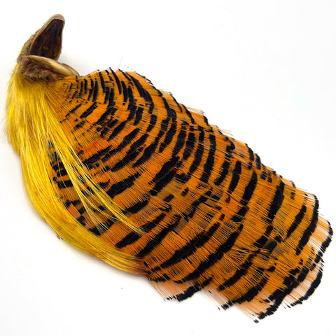 Hareline Golden Pheasant Complete Head