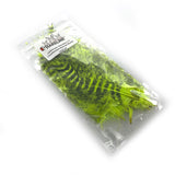 Hareline Jailhouse Marabou - Fl. Chartreuse Barred Black