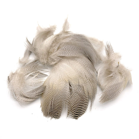 Hareline Pintail Flank Feathers