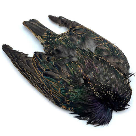 Hareline Starling Skin