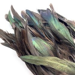 Hareline Iridescent Schlappen Feathers