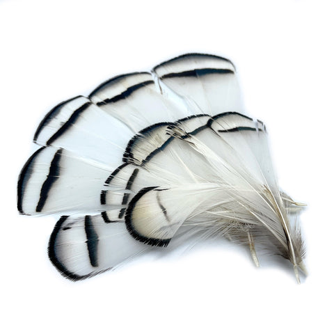 Lady Amherst Tippets