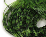 Barred & Speckled Crazy Legs - Olive