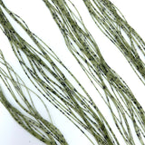 Buggy Nymph Legs - Dark Olive