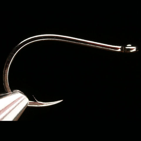 Daiichi 2581 New Boss Hook
