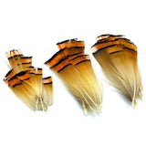 Hareline Golden Pheasant Tippets