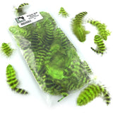 Hareline Grizzly Soft Hackle - Chartreuse