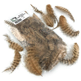Hareline Grizzly Soft Hackle - Tan