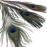 Hareline Peacock Eyed Sticks