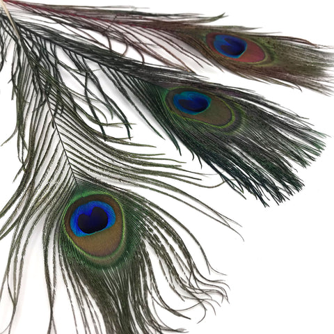 Hareline Peacock Eyed Sticks