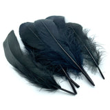 Hareline Select Goose Shoulder - Black