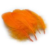 Hareline Select Goose Shoulder - Fluorescent Orange