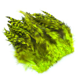 Hareline Strung Grizzly Variant Saddle Hackle - Fluorescent Chartreuse