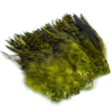 Hareline Strung Grizzly Variant Saddle Hackle -  Olive