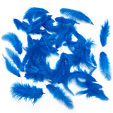 Metz Soft Hackle - Kingfisher Blue