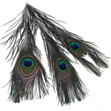 Peacock Eyed Sticks - Black
