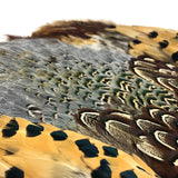 Hareline Ringneck Pheasant Skin / Pelt