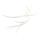 Stripped Goose Biots - White