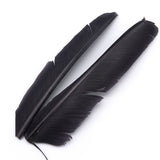 Turkey Biot Quills - Trico