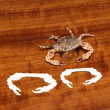 Cohen's Crab Claws