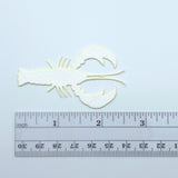 Cohen's Crayfish Creature - Medium