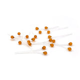 Easy Shrimp Eyes - Transparent Brown