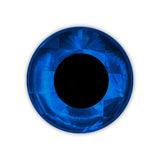 3D Fish Eyes - Holographic Blue