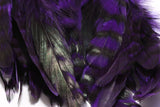 Hareline Barred Variant Schlappen Hackle - Purple