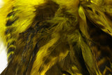 Hareline Barred Variant Schlappen Hackle - Yellow