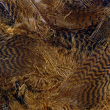 Hareline Teal Flank Feathers - Brown