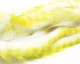 Barred Polychrome Rabbit Strips - White / Yellow / Chartreuse