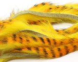Barred Polychrome Rabbit Strips - Yellow / Golden Orange / Black