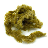 Chocklett's Game Changer Chenille - Olive Brown