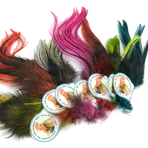 Coq De Leon UV2 Perdigon Fire Tail Feathers