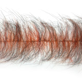 EP Senyo's Chromatic Brush 3" Wide - Tiger