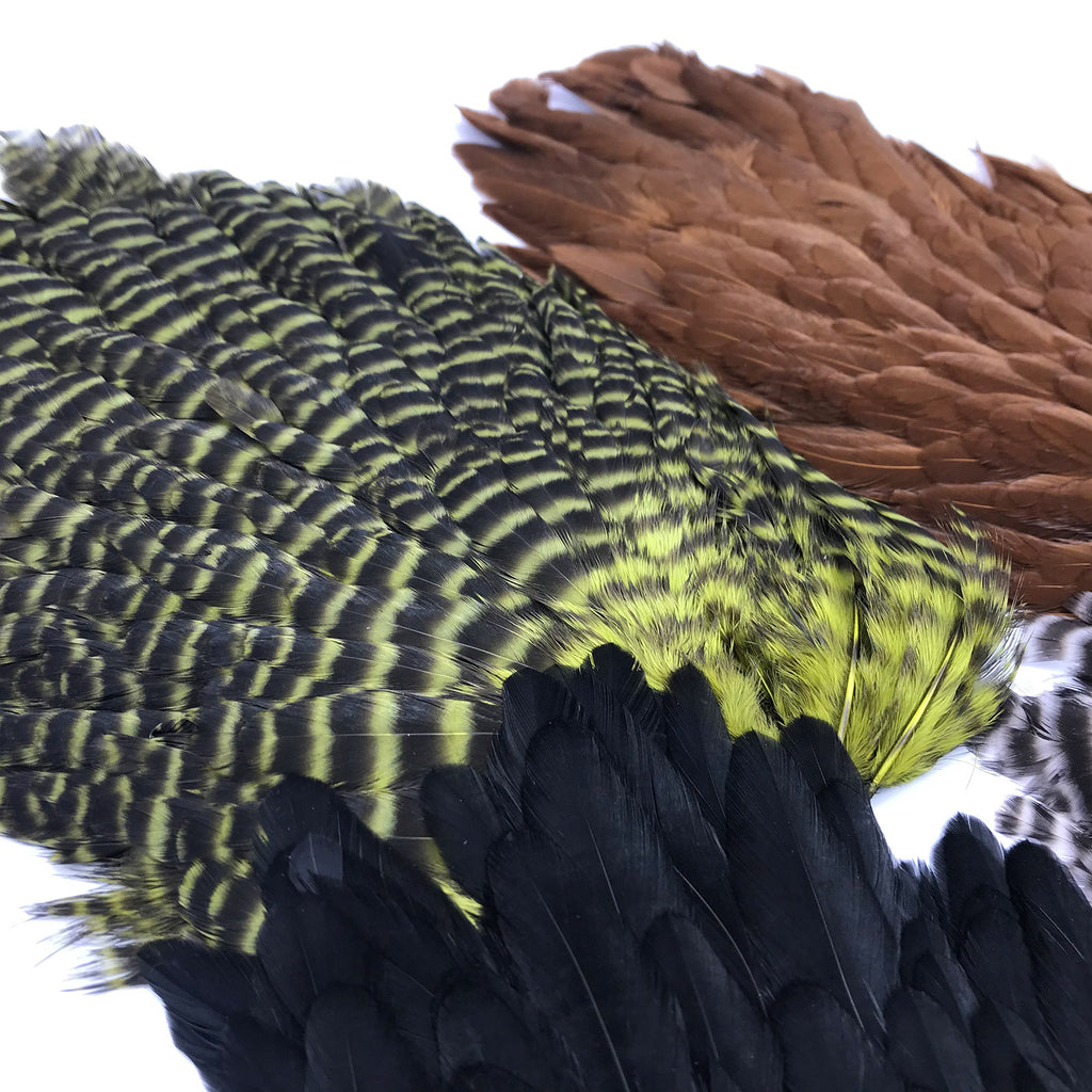 Hareline Grizzly Soft Hackle Feathers For Fly Tying – 10 Color Options, Barred Patterns For Nymphs & Wet Flies