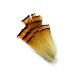 Golden Pheasant Tippets - Medium